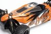 C0300-03071 - Painted  Body Shell R10 Buggy