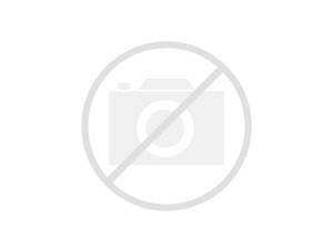 Bild p� Truck 1:10 body - 10371