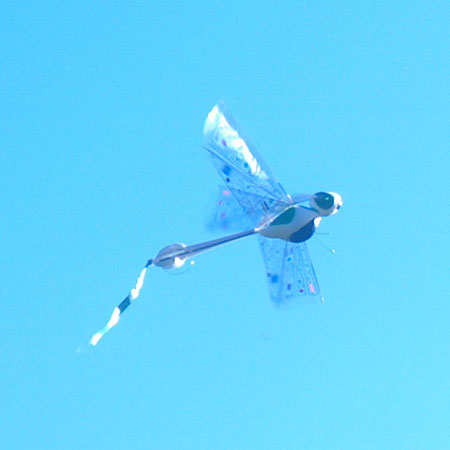 Thumbnail 711 f�r Radiostyrd insekt (Dragonfly) - RTF