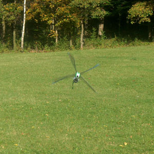 Thumbnail 711 f�r Radiostyrd insekt (Dragonfly) - RTF