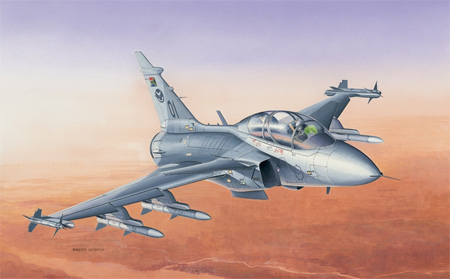 Bild p� Modellflygplan - JAS 39 Gripen (Twin seater) SE - Italeri - 1:48