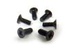 Flat Head Screws 3x10 6p - 31070