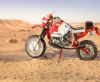 Byggsats motorcykel - BMW 1000 Gaston Rahier - 1:9 - Italieri