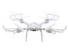 X101 Quadcopter