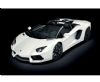 Lamborghini Aventador Roadster Matt Met.White 1:8