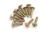 Flange Head Self Tapping Screws PWTHO2.6*12mm